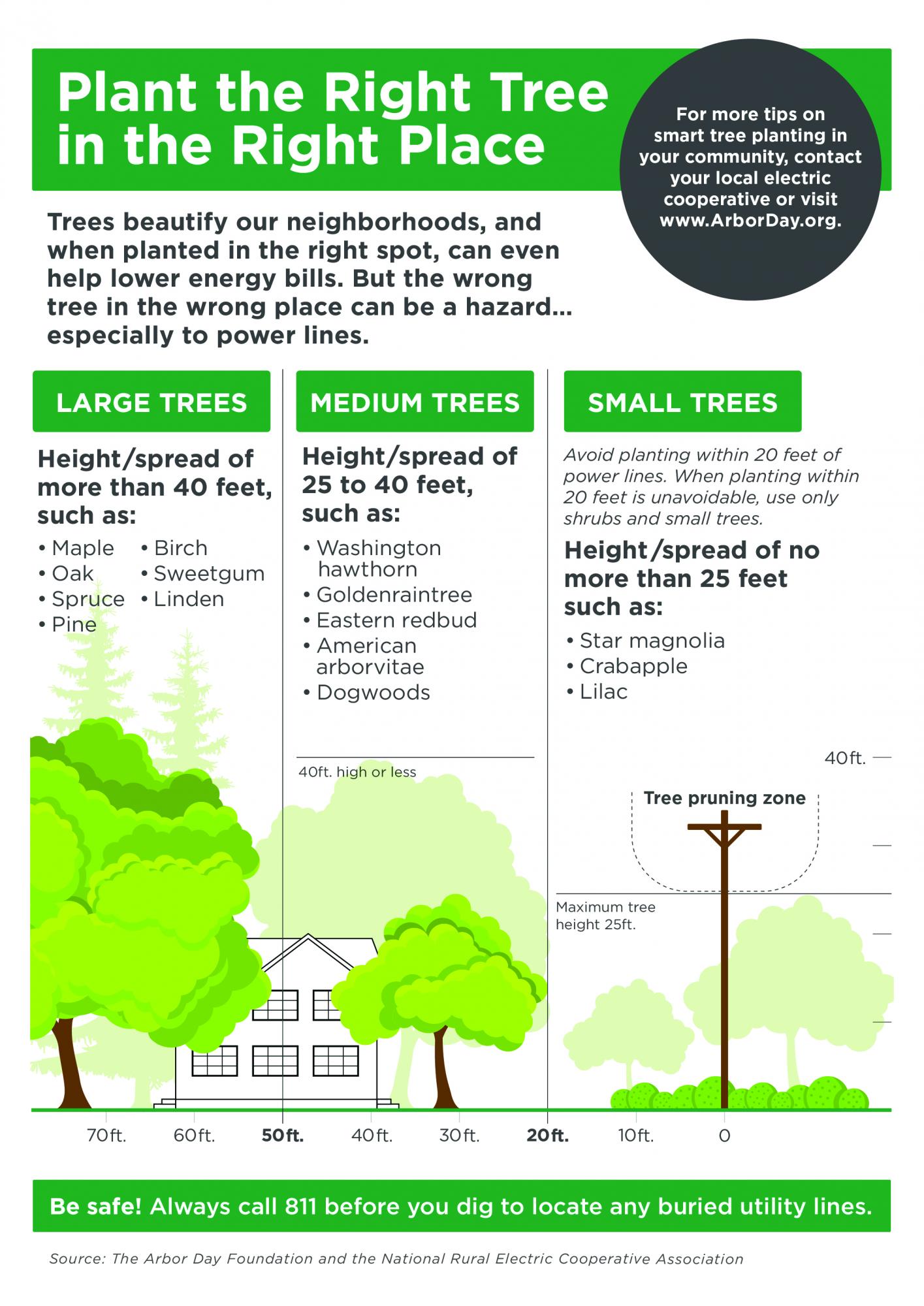 Tree Planting | Southern Pine Electric Cooperative